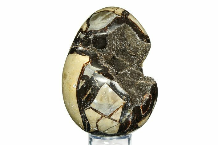 Septarian Dragon Egg Geode - Sparkly Black Crystals #308836